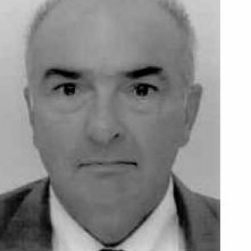 Michel Stern
